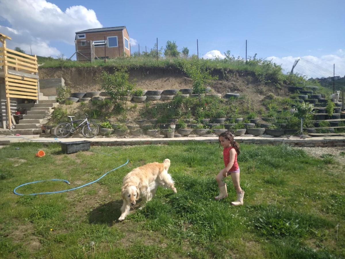Вилла Tiny House Cluj With Jacuzzi Sinnicoara Экстерьер фото